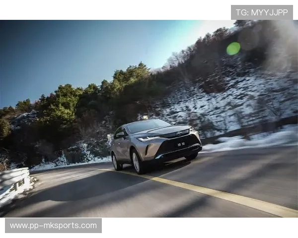 “逆境突围：车手在极端环境的豪迈征程”，逆境突袭简介